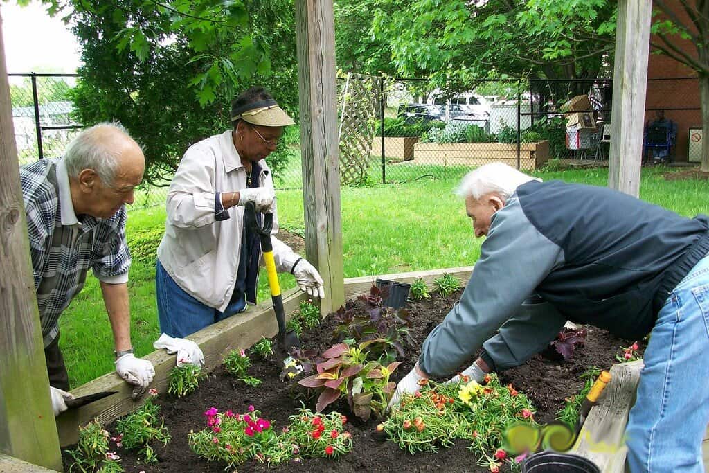 Living United to Improve Health in Columbia County